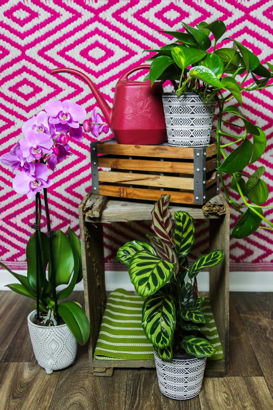 Holiday Gift Guide for Plant Lovers