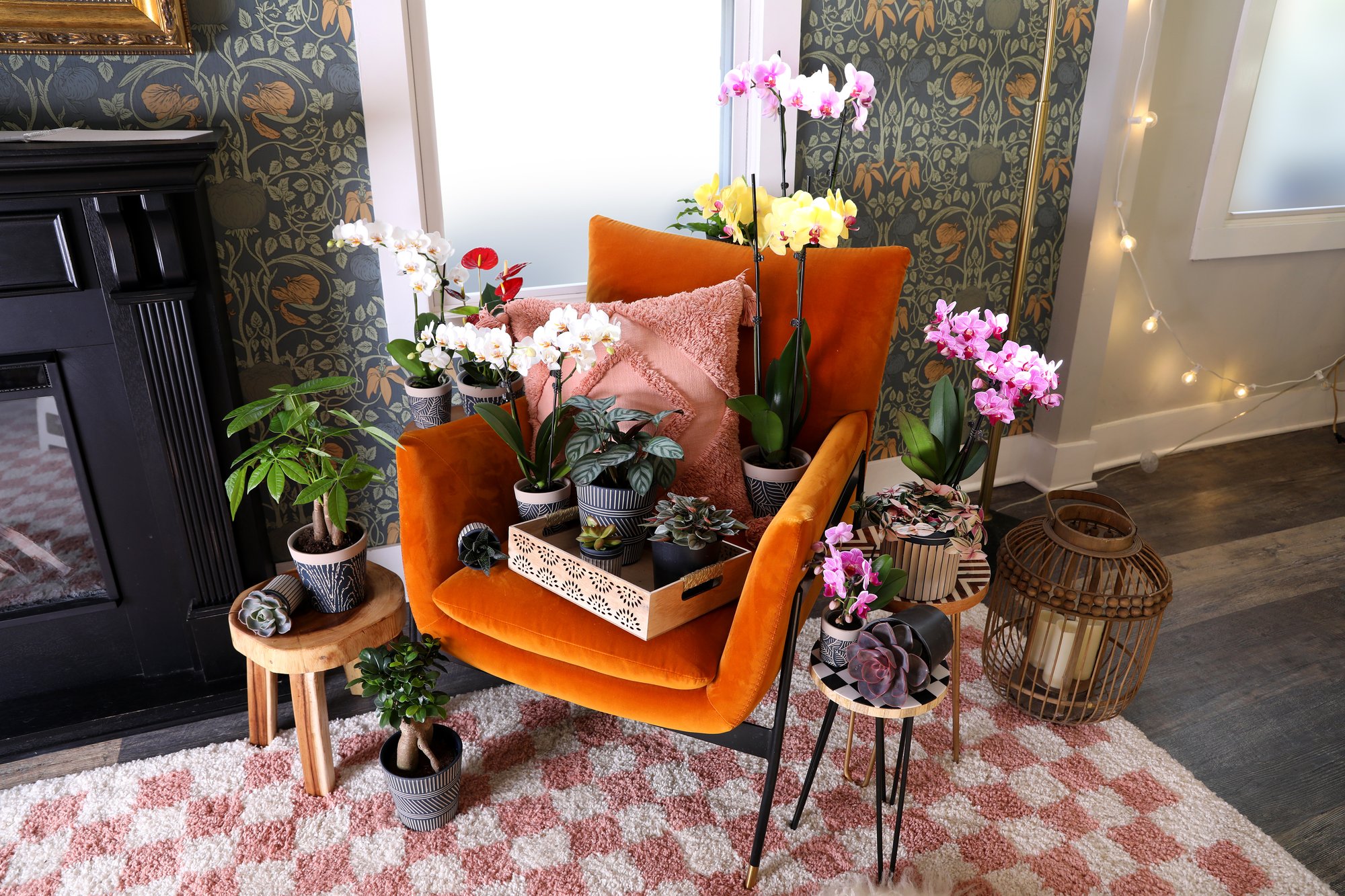 Max_and_Miles_4.0_Explore_Plants_Orange_Chair_Horizontal_Lifestyle_1_2024