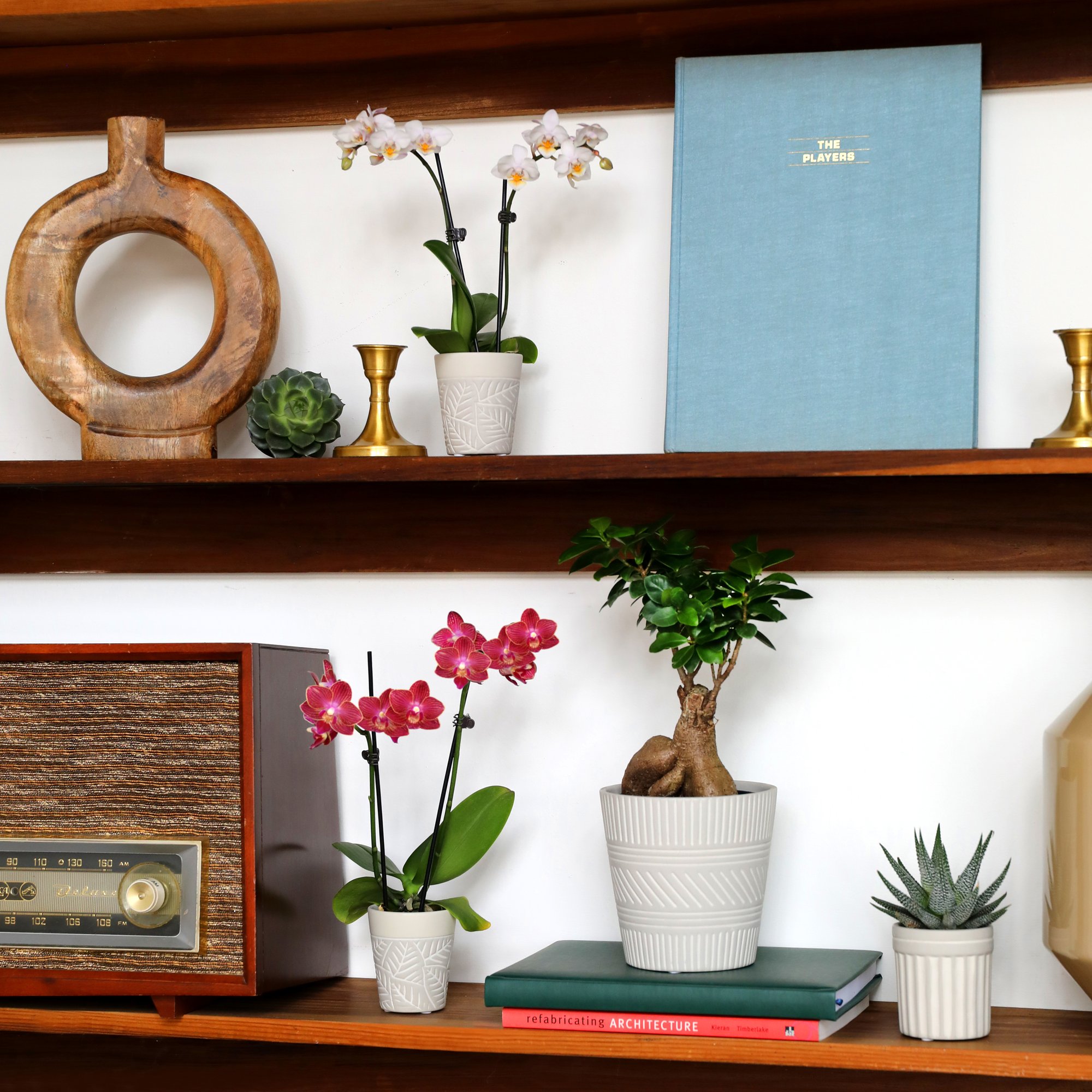 Max_and_Miles_4.5_Group_Living_Room_SQ_Lifestyle_1 (1)