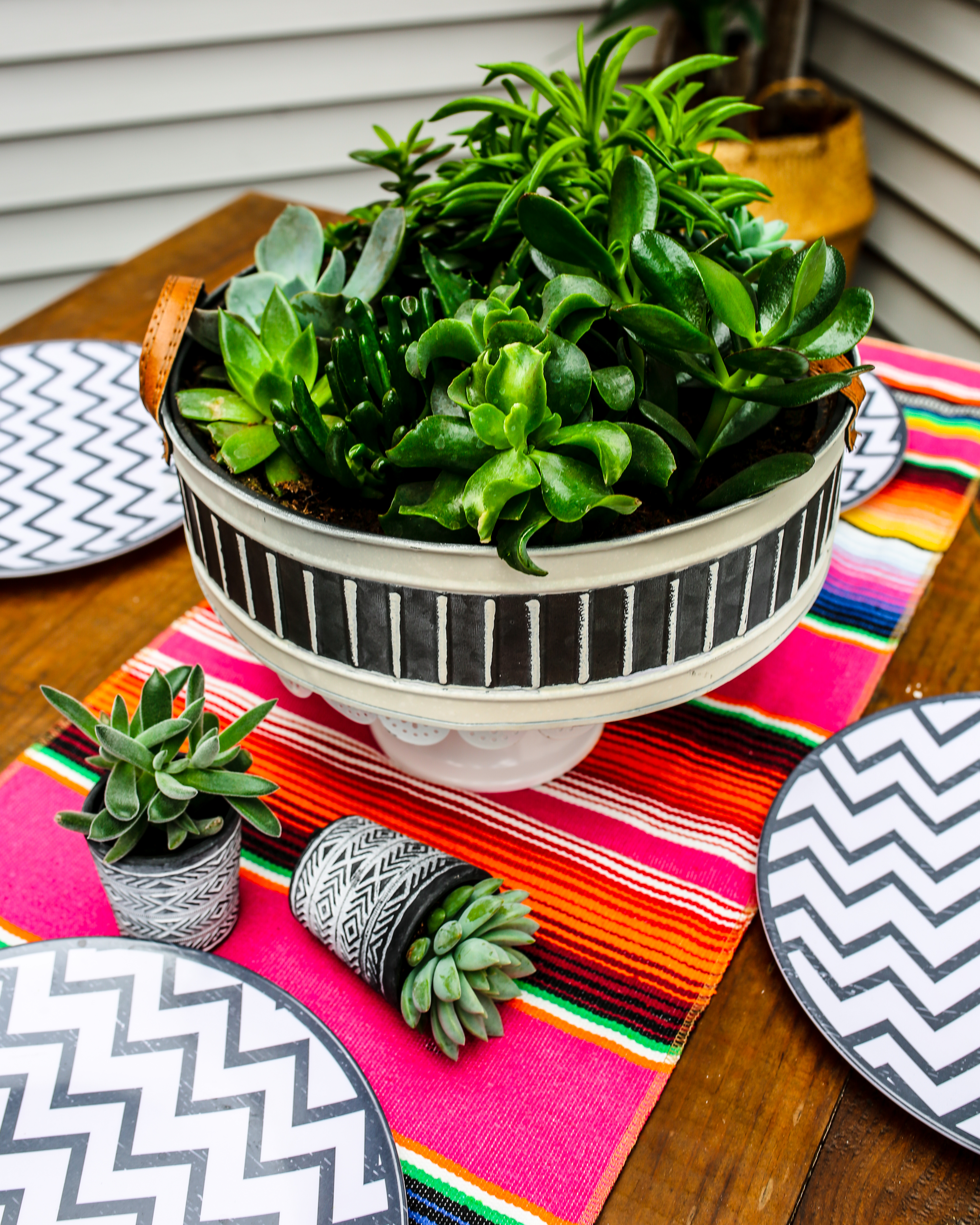 summer decorating with plants 